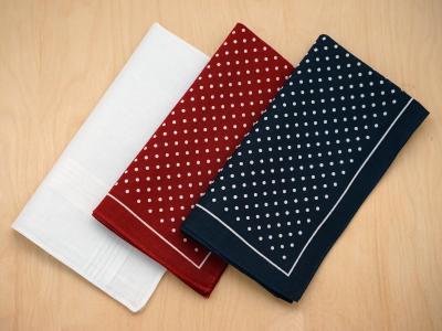 Set of 3 Assorted Polka Dot Handkerchiefs