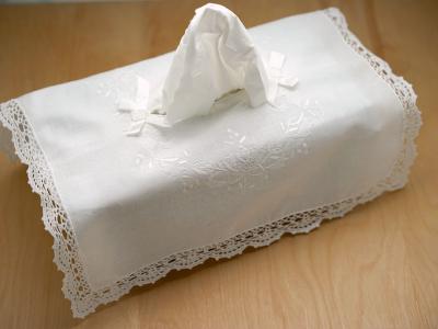 Tissue Box Cover with a Embroidery and Crochet Lace