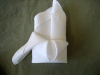 crownFold Pic6