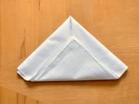 hankieFoldWingPuff Pic4