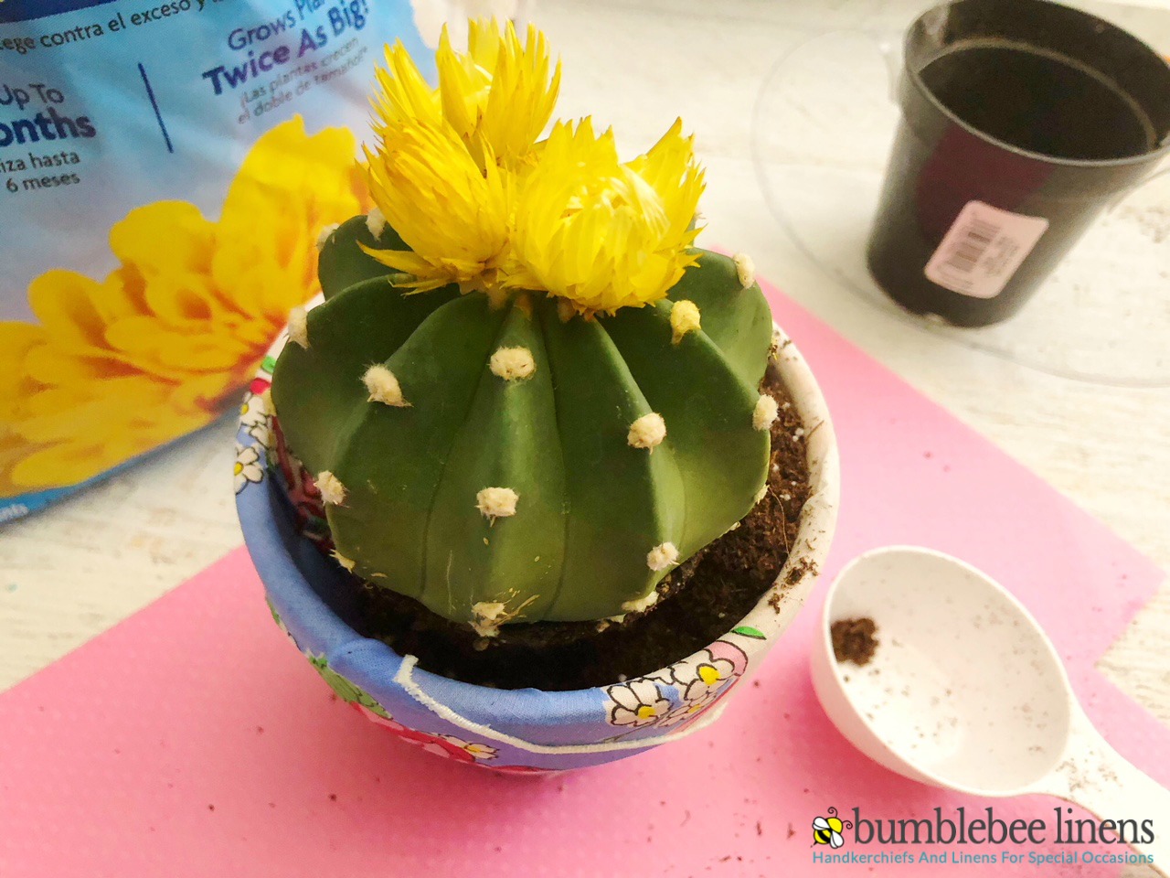 Our Terra Cotta Pot Planter is a easy and beautiful way to spruce up a terra cotta pot with a little Mod Podge and a handkerchief.