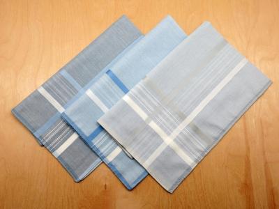 Set of 3 Blue Ridge Mens Handkerchiefs